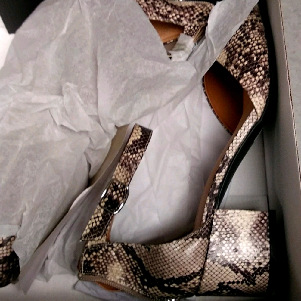 Torrid shoes